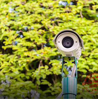 24x7 CCTV Surveillance